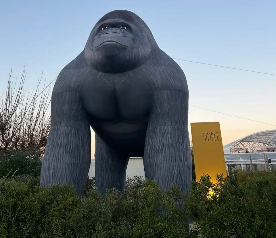 Gorilla 6 m